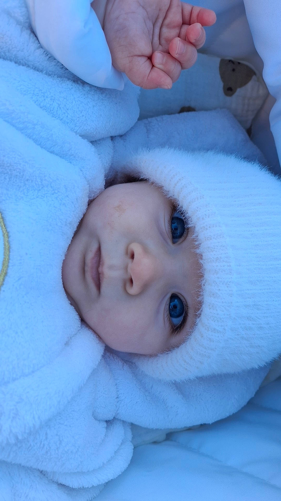 baby, blanket, blue_eyes, child, close_up, cozy, cute, eyelashes, face, hand, indoors, infant, newborn, portrait, resting, skin, sleeping_bag, soft_texture, warm_clothing, white_hat