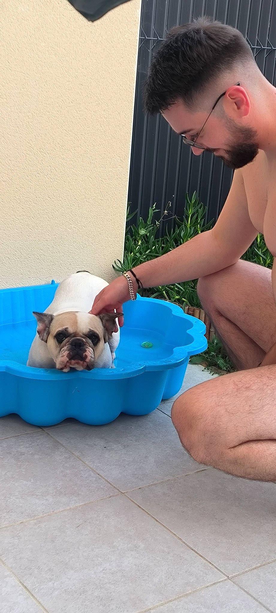 Oyanne participe au concours pour gagner de l'argent avec cette photo : blue, bulldog, canidae, carnivore, comfort, companion_dog, dog, dog_breed, dog_supply, electric_blue, fawn, grass, pet_supply, plant, snout, sporting_group, summer, toy_dog, water, working_animal