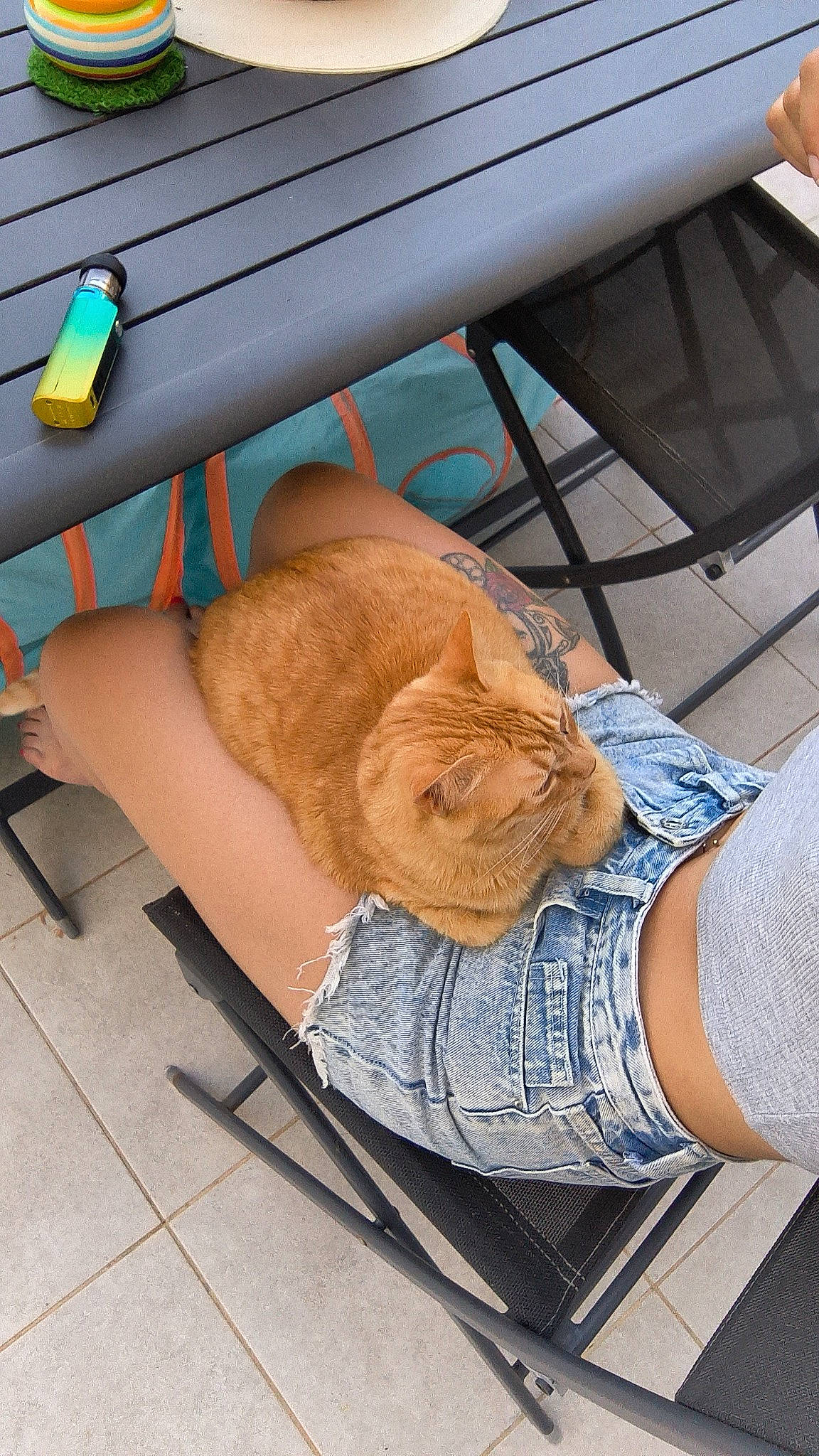 Kokillette participe au concours pour gagner de l'argent avec cette photo : carnivore, cat, chair, comfort, companion_dog, domestic_short_haired_cat, fawn, felidae, flooring, human_leg, lap, leg, outdoor_furniture, shoe, sitting, small_to_medium_sized_cats, table, thigh, whiskers, wood