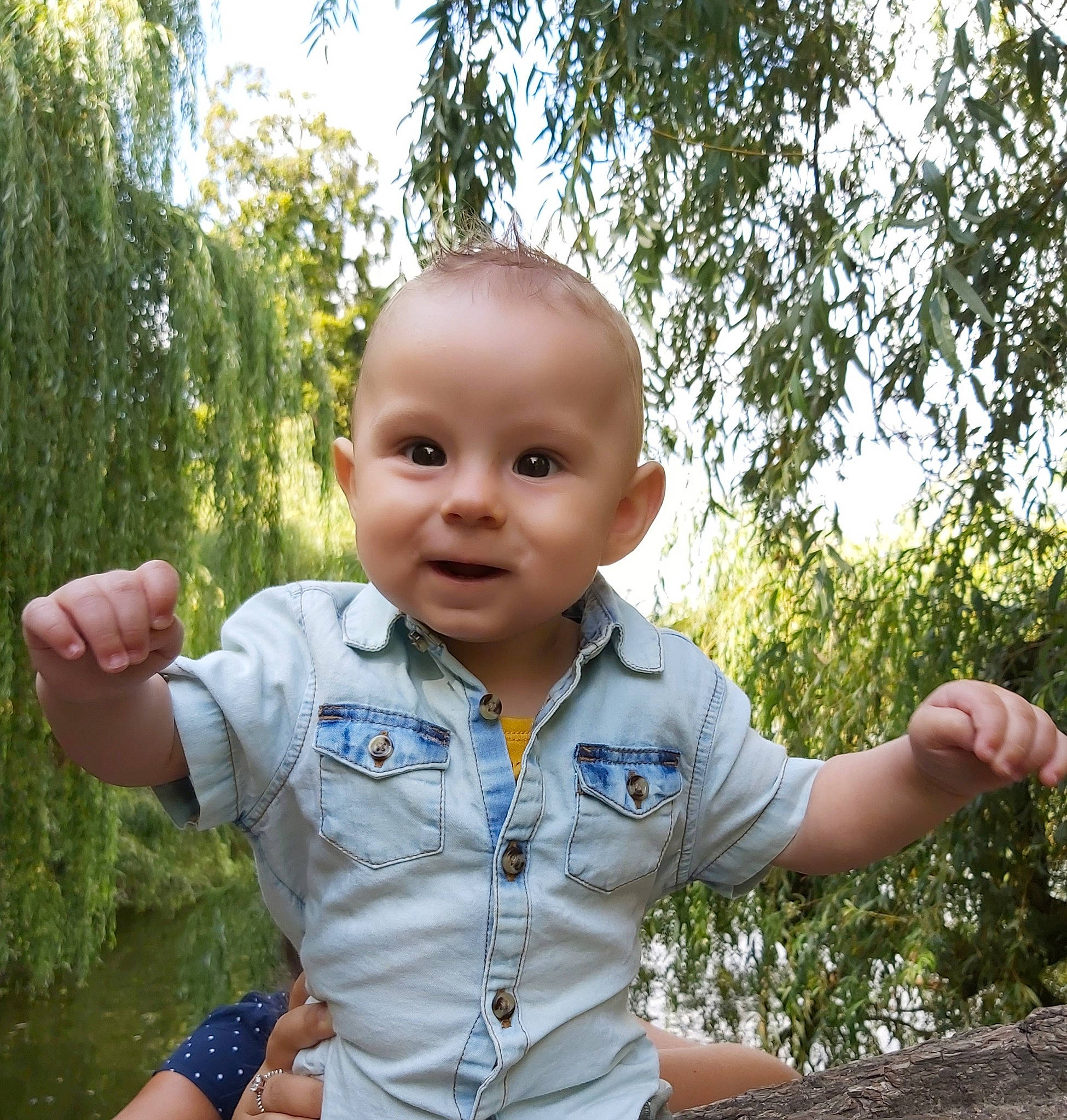 Rafael participe au concours pour gagner de l'argent avec cette photo : adaptation, baby, cheek, child, finger, gesture, grass, hand, happy, leisure, person, photography, plant, play, sitting, smile, summer, thumb, toddler, tree