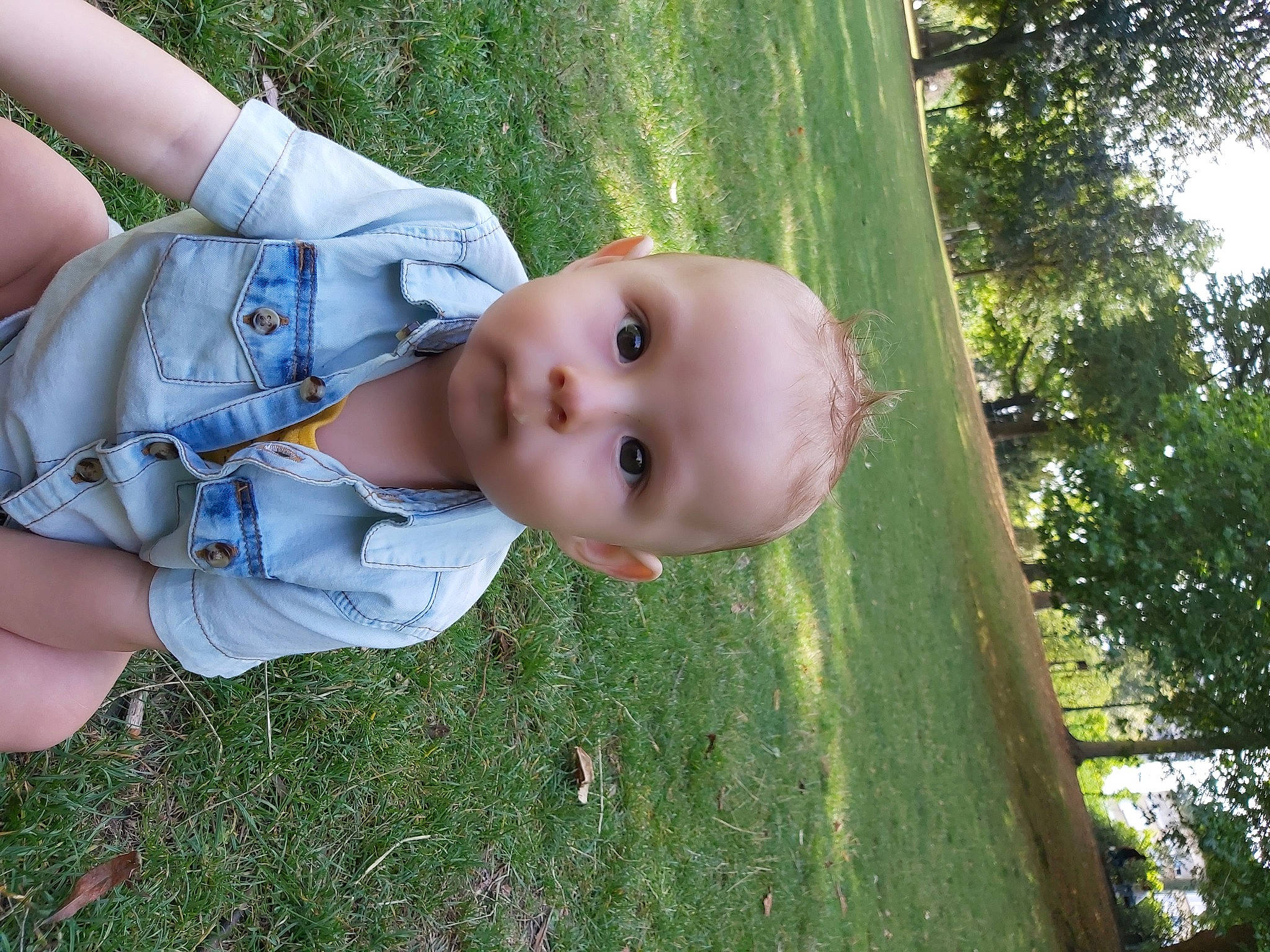 Rafael participe au concours pour gagner de l'argent avec cette photo : baby, child, grass, leaf, person, plant, skin, toddler, tree, trunk
