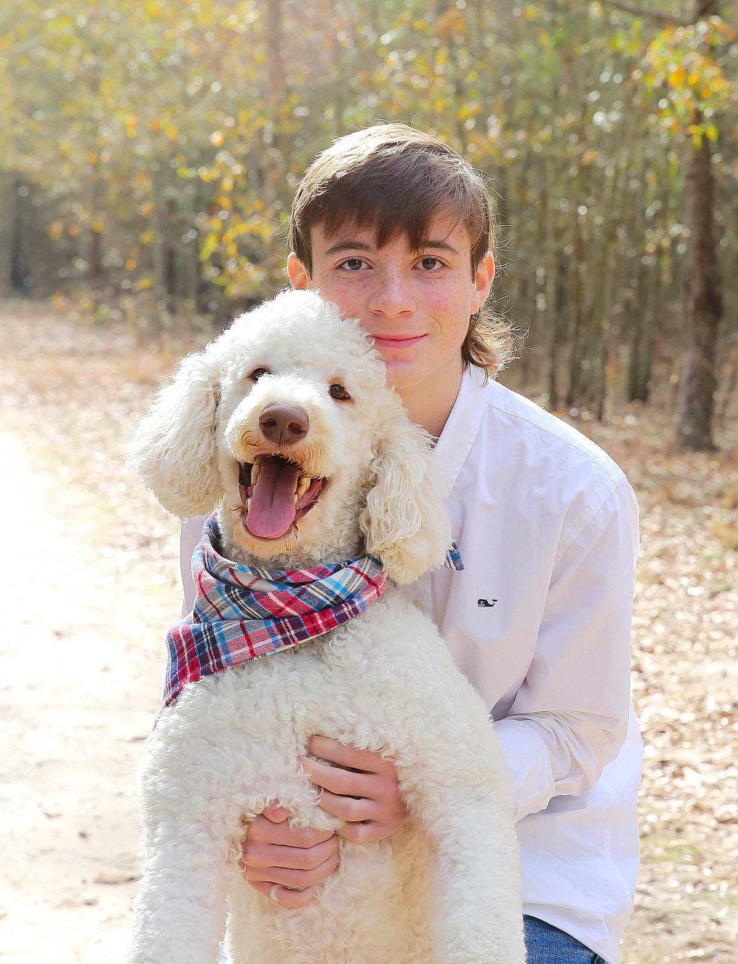 Sully is registered to the contest to win money with this photo: autumn, briquet_griffon_vendeen, canidae, carnivore, companion_dog, dog, dog_breed, fur, human, labradoodle, love, mammal, people_in_nature, poodle_crossbreed, sporting_group, tongue, tooth, vertebrate, water_dog, woodland