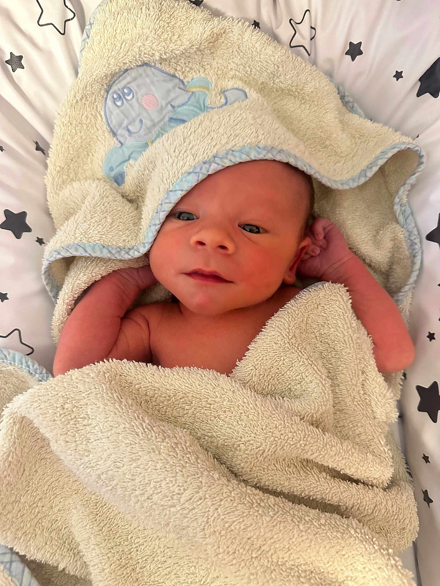 Sacha a rejoint le concours — aidez-le/la à gagner de superbes lots ! newborn, baby, towel, blanket, star_pattern, hooded_towel, infant, skin, face, hands, lying_down, cute, soft_texture, wrapped, bed, resting, indoors, peaceful, closeup, portrait