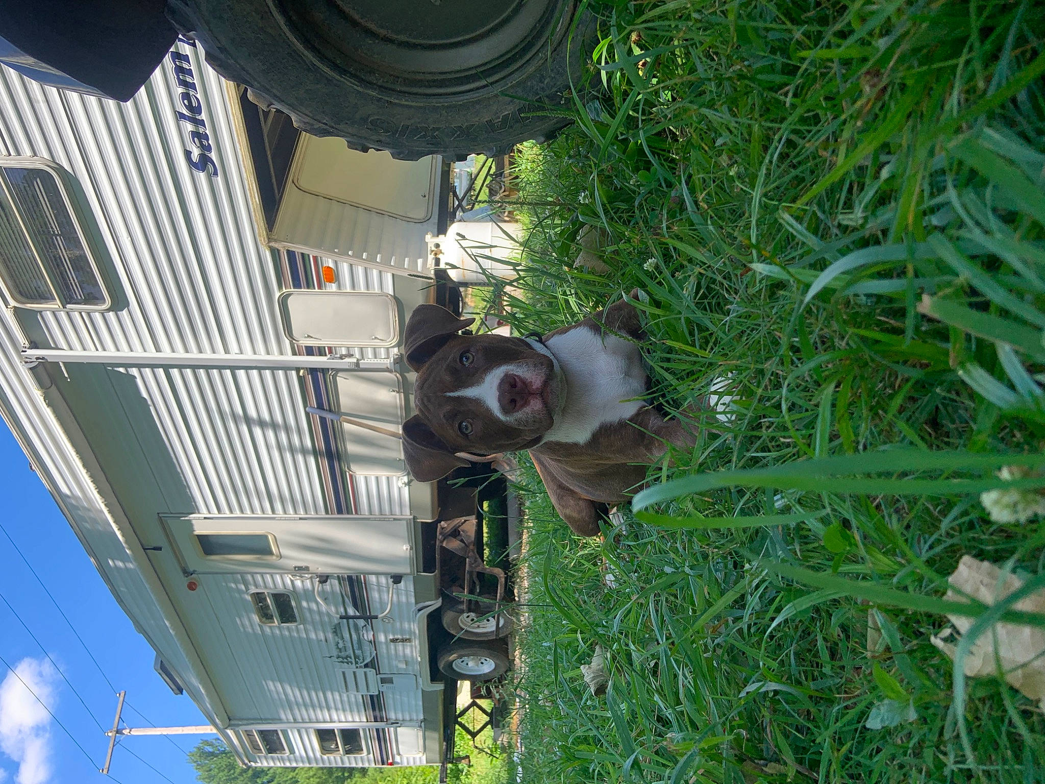 Diesel is registered to the contest to win money with this photo: auto_part, automotive_tire, automotive_wheel_system, building, circle, cloud, evergreen, grass, herb, mixed_use, plant, pole, shrub, signaling_device, sky, street_light, terrestrial_plant, traffic_light, tree, urban_design