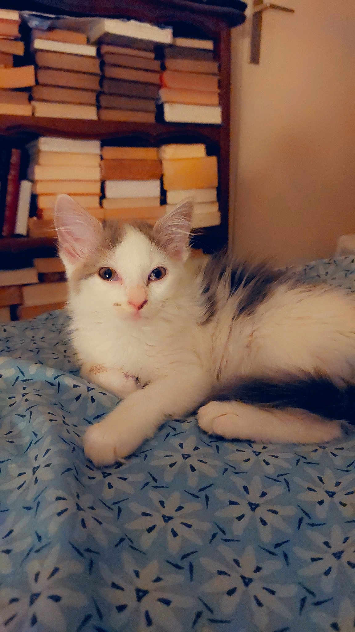 Tina