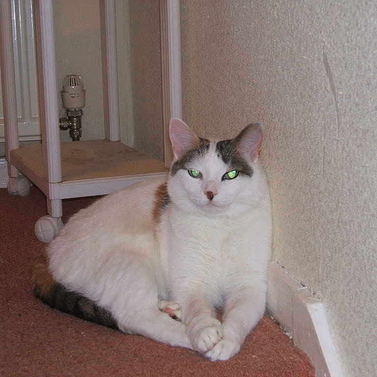 Susie joined the competition — help win amazing prizes!