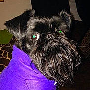 Rufus Groove is registered to the contest to win money with this photo: