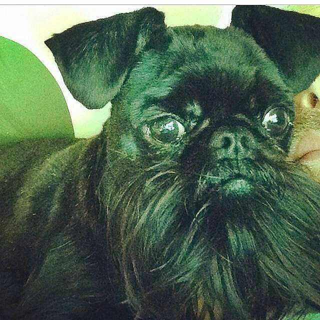 Rufus Groove