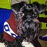 Rufus Groove is registered to the contest to win money with this photo: