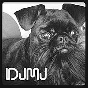Rufus joined the competition — help win amazing prizes! dog, pug, pet, animal, close_up, portrait, black_and_white, wide_eyes, wrinkled_face, short_muzzle, floppy_ears, beard, fur, indoor, cushion, photography, funny, staring, text_overlay, monochrome