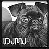 dog, pug, pet, animal, close_up, portrait, black_and_white, wide_eyes, wrinkled_face, short_muzzle, floppy_ears, beard, fur, indoor, cushion, photography, funny, staring, text_overlay, monochrome
