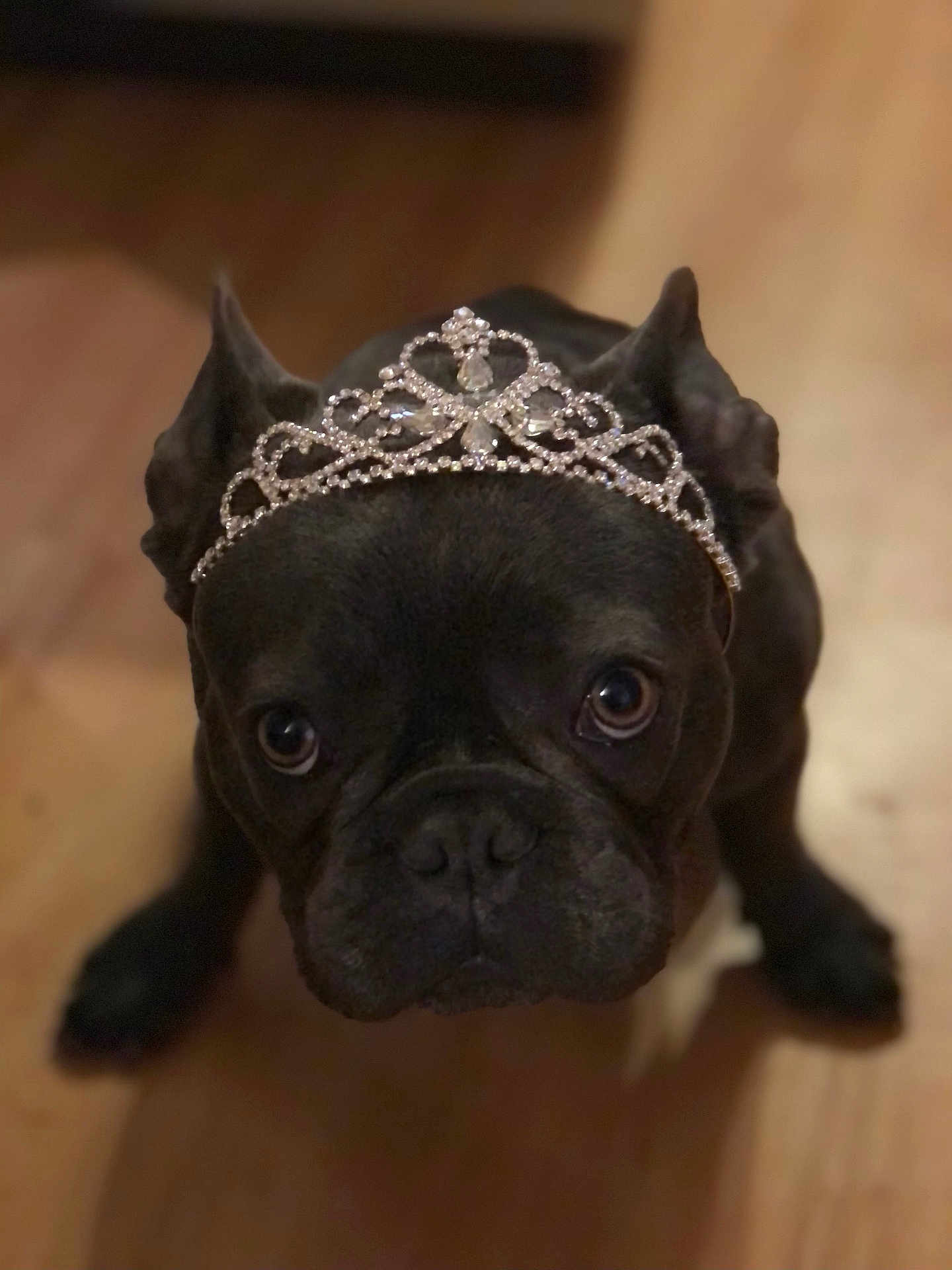 Rosie