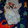 Oliver joined the competition — help win amazing prizes! baby, bed, blanket, clothing, couch, crib, cushion, face, furniture, hat, head, homedecor, infantbed, person, photography, pillow, plush, portrait, sleeping, toy