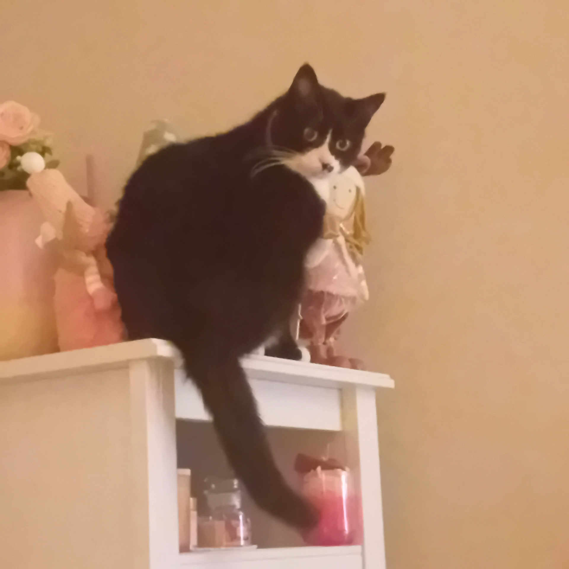 Eros