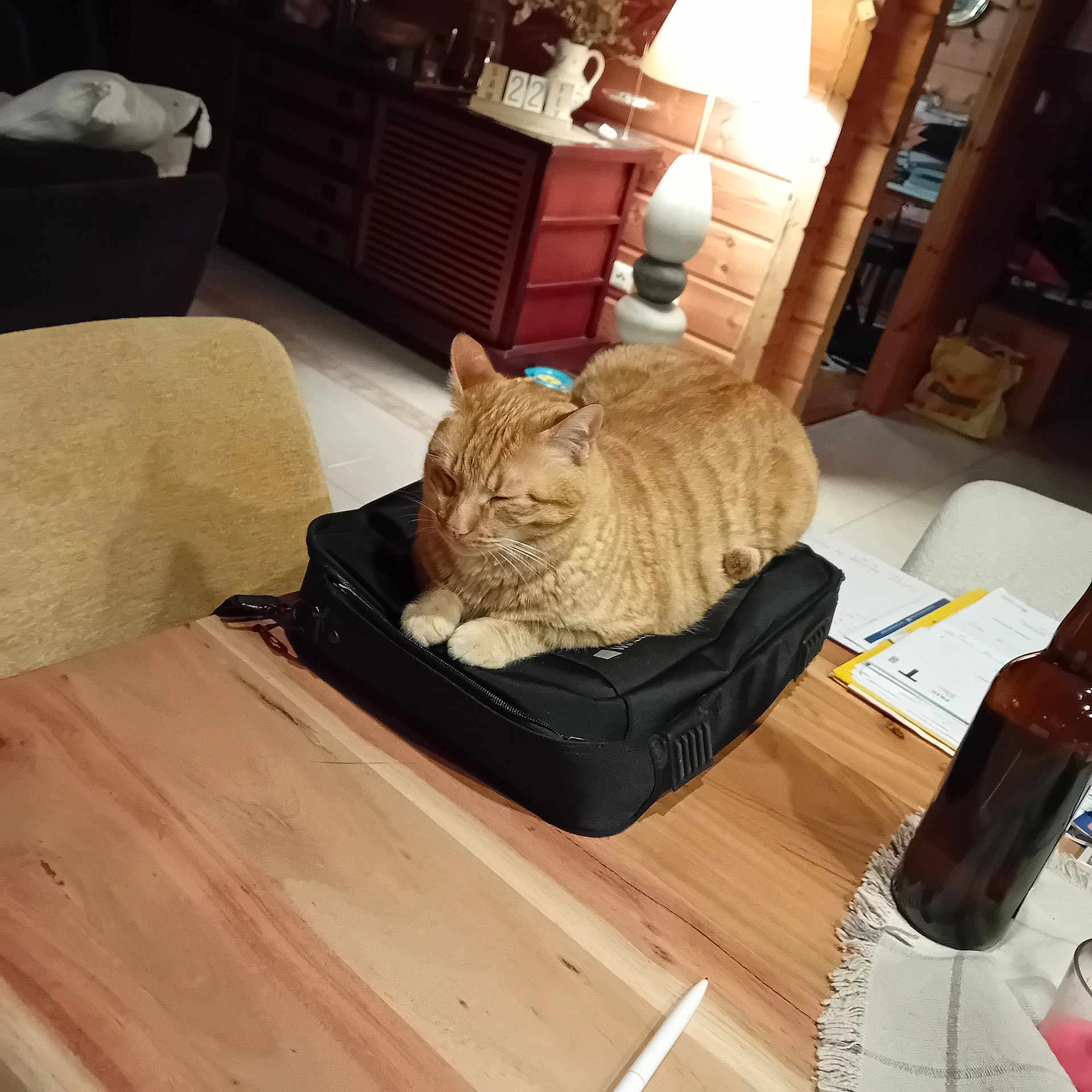 Paprika