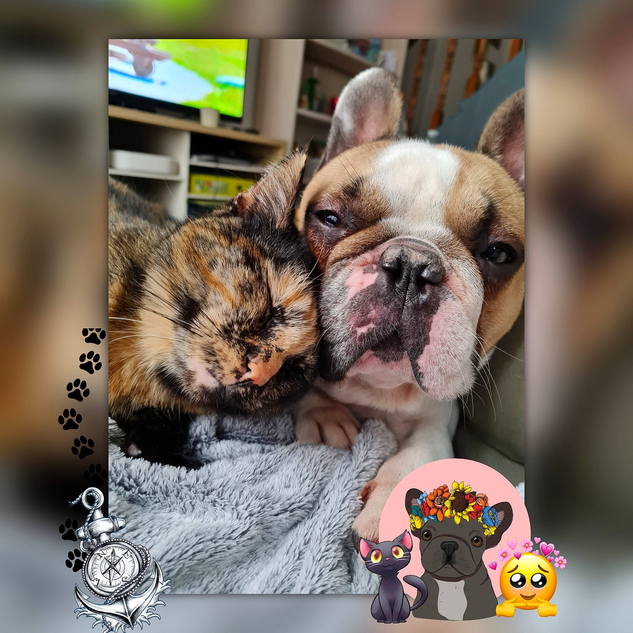 Plume participe au concours pour gagner de l'argent avec cette photo : bulldog, carnivore, companion_dog, dessert, dog, dog_breed, fawn, font, fur, happy, mammal, photo_caption, pink, snout, sweetness, terrestrial_animal, toy, toy_dog, whiskers, wrinkle