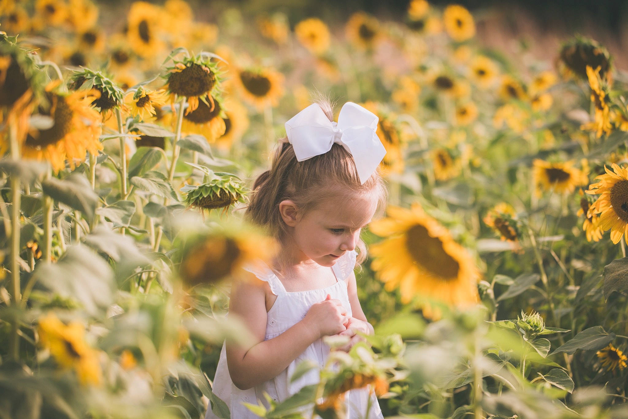 Harlowe joined the competition — help win amazing prizes! backlighting, child, field, flower, fun, grass_family, happy, meadow, people_in_nature, person, photography, plant, sky, smile, spring, summer, sunflower, sunlight, wildflower, yellow