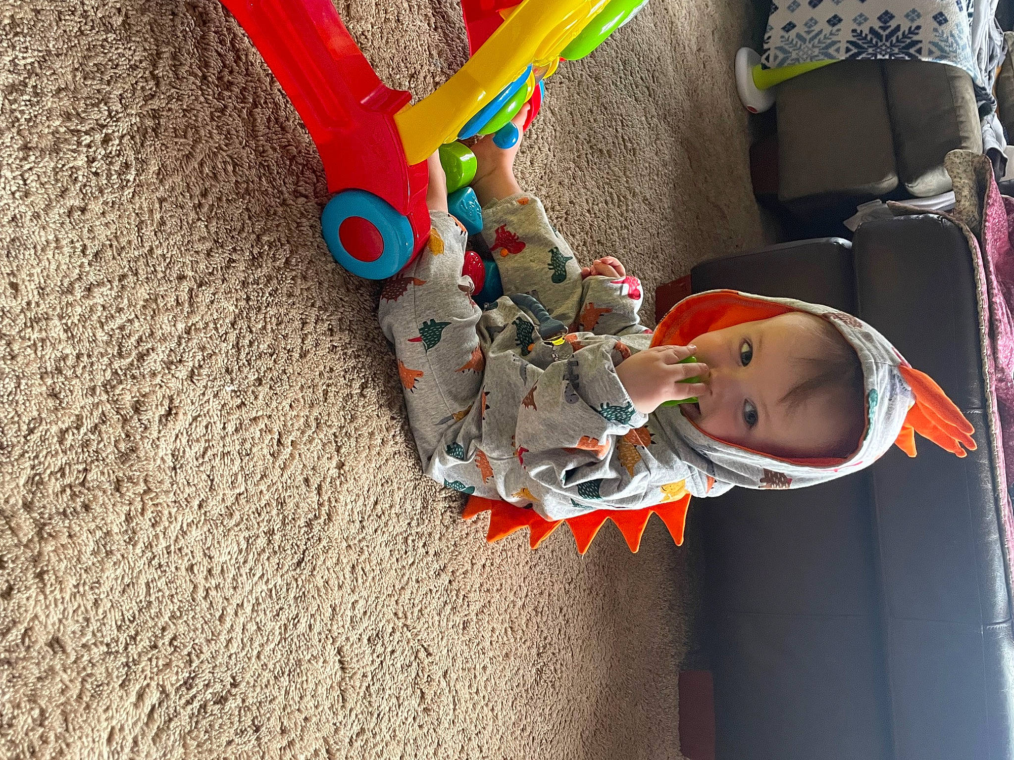Levi is registered to the contest to win money with this photo: auto_part, baby, baby_carriage, baby_products, baby_toys, carmine, child, electric_blue, fashion_accessory, flooring, fun, hat, human_leg, person, plastic, recreation, stuffed_toy, toddler, toy, tree