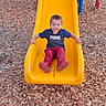 Mason joined the competition — help win amazing prizes! child, toddler, playground, slide, yellow_slide, smiling, sitting, outdoor, recreation, playground_equipment, wood_chips, play_area, blue_shirt, red_pants, puma_shirt, short_hair, portrait, full_body, happy, daylight