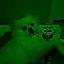 animal, carpet, companion, cozy, cuddle, cute, dim_lighting, dog, funny, green_tint, indoor, lying_down, pet, plush_toy, relaxed, room, soft_fur, spongebob_squarepants, stuffed_animal, toy