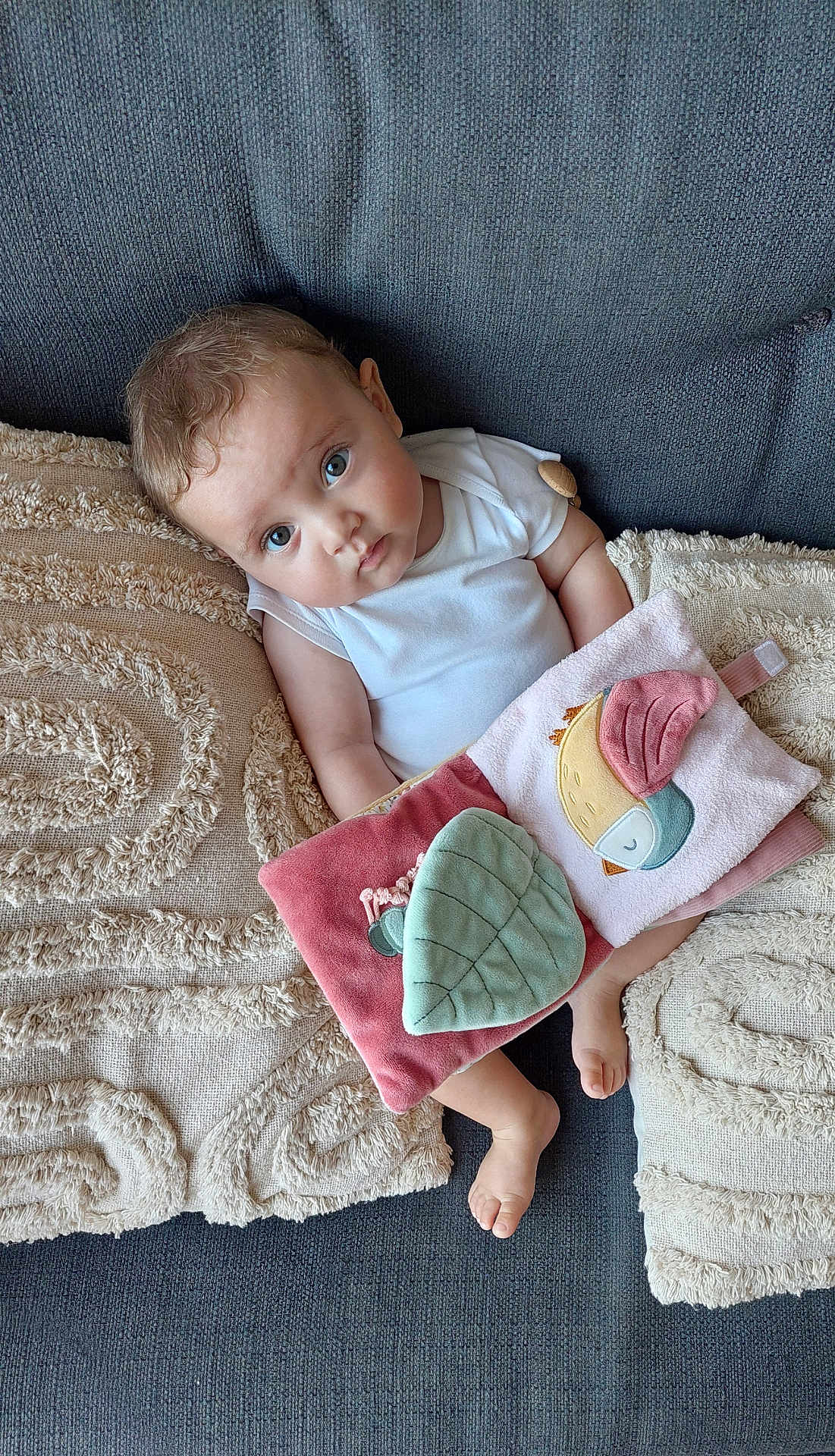 Thelma a rejoint le concours — aidez-le/la à gagner de superbes lots ! baby, child, blue_eyes, couch, pillows, fabric_book, bird_design, leaf_design, white_onesie, barefoot, curly_hair, indoor, cozy, soft_texture, infant, cute, relaxed, sitting, looking_up, home