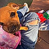 puppy, dog, close_up, blanket, jeans, ripped_jeans, footwear, sneakers, outdoor, wooden_deck, sunlight, shadow, person, lap, pet, cute, brown_fur, animal, casual, colorful