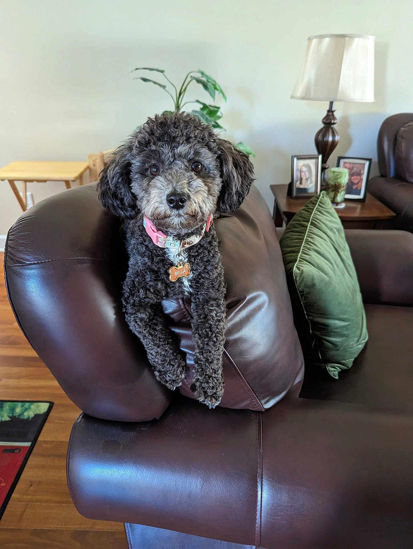 Bella