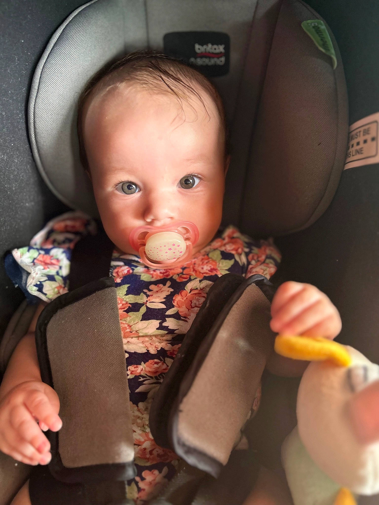 Maliah is registered to the contest to win money with this photo: auto_part, baby, baby_in_car_seat, baby_products, baby_safety, baby_toddler_clothing, car_seat, car_seat_cover, cheek, child, chin, comfort, eye, face, iris, person, seat_belt, sitting, skin, toddler