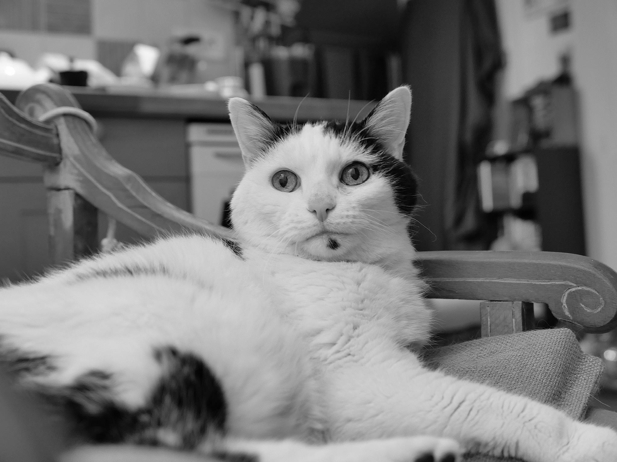 Tita