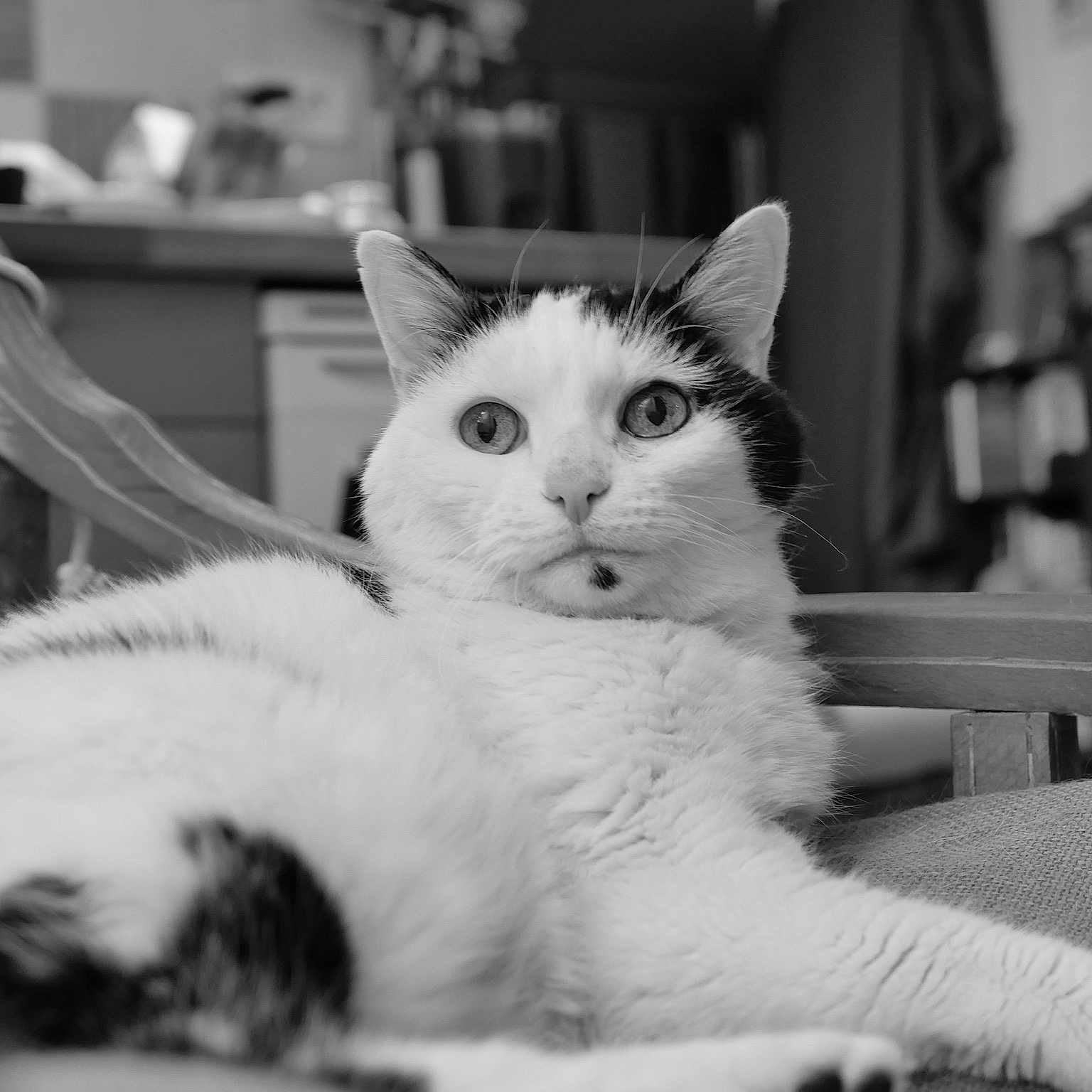 Tita