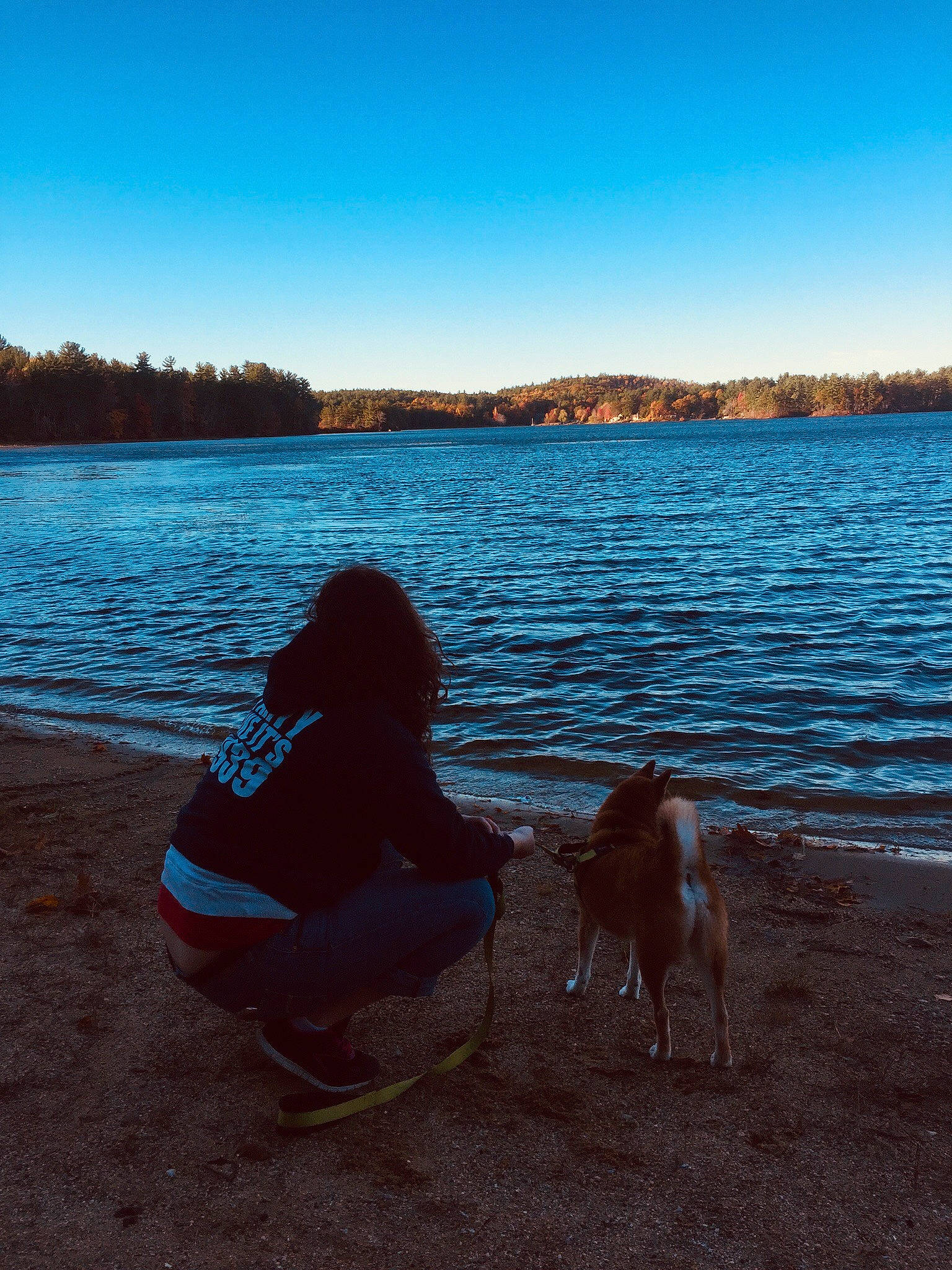 Kody is registered to the contest to win money with this photo: blue, calm, canidae, cloud, dog, evening, footwear, lake, leg, morning, ocean, sea, sitting, sky, summer, sunlight, sunset, tree, vacation, wilderness
