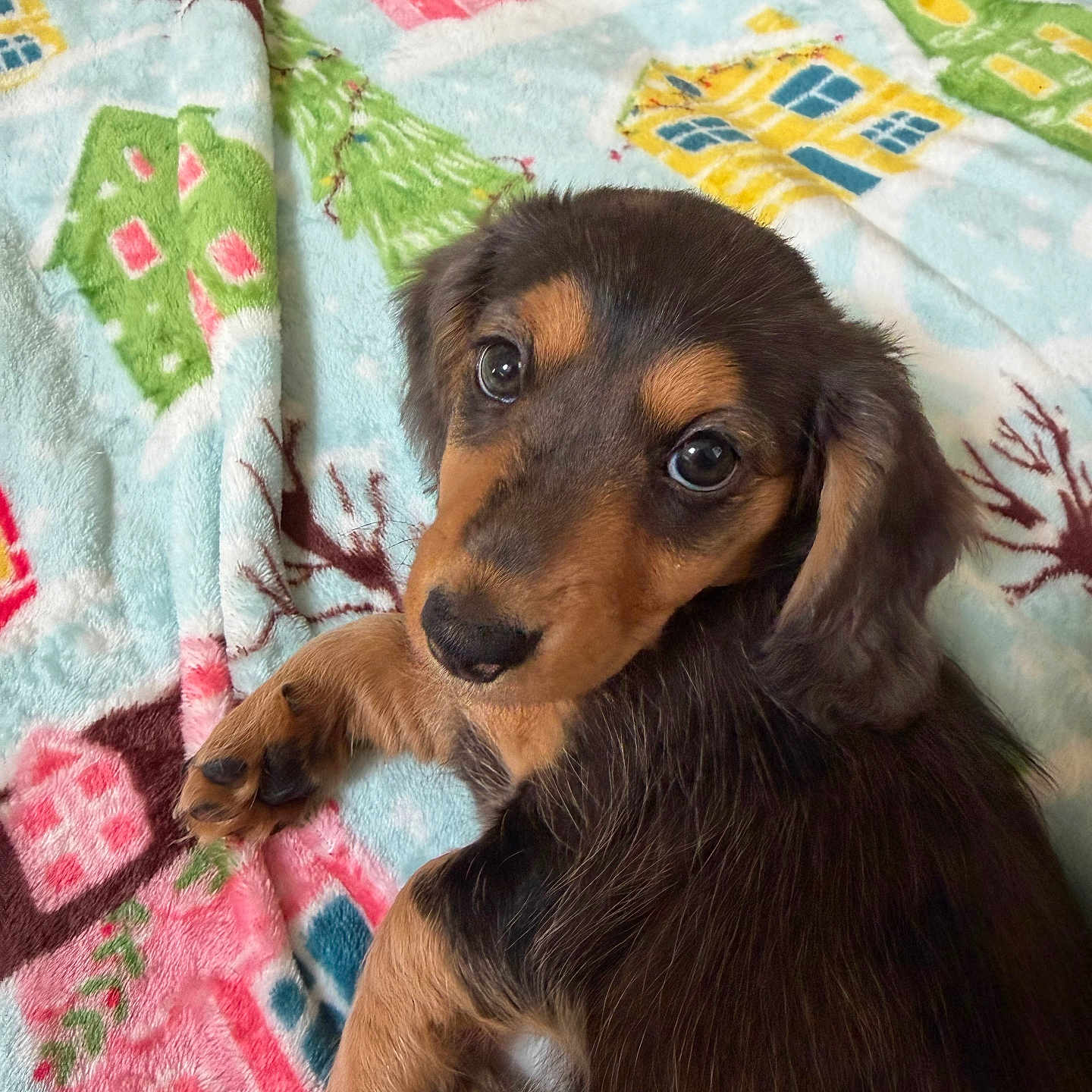 Ella