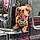 Auggie