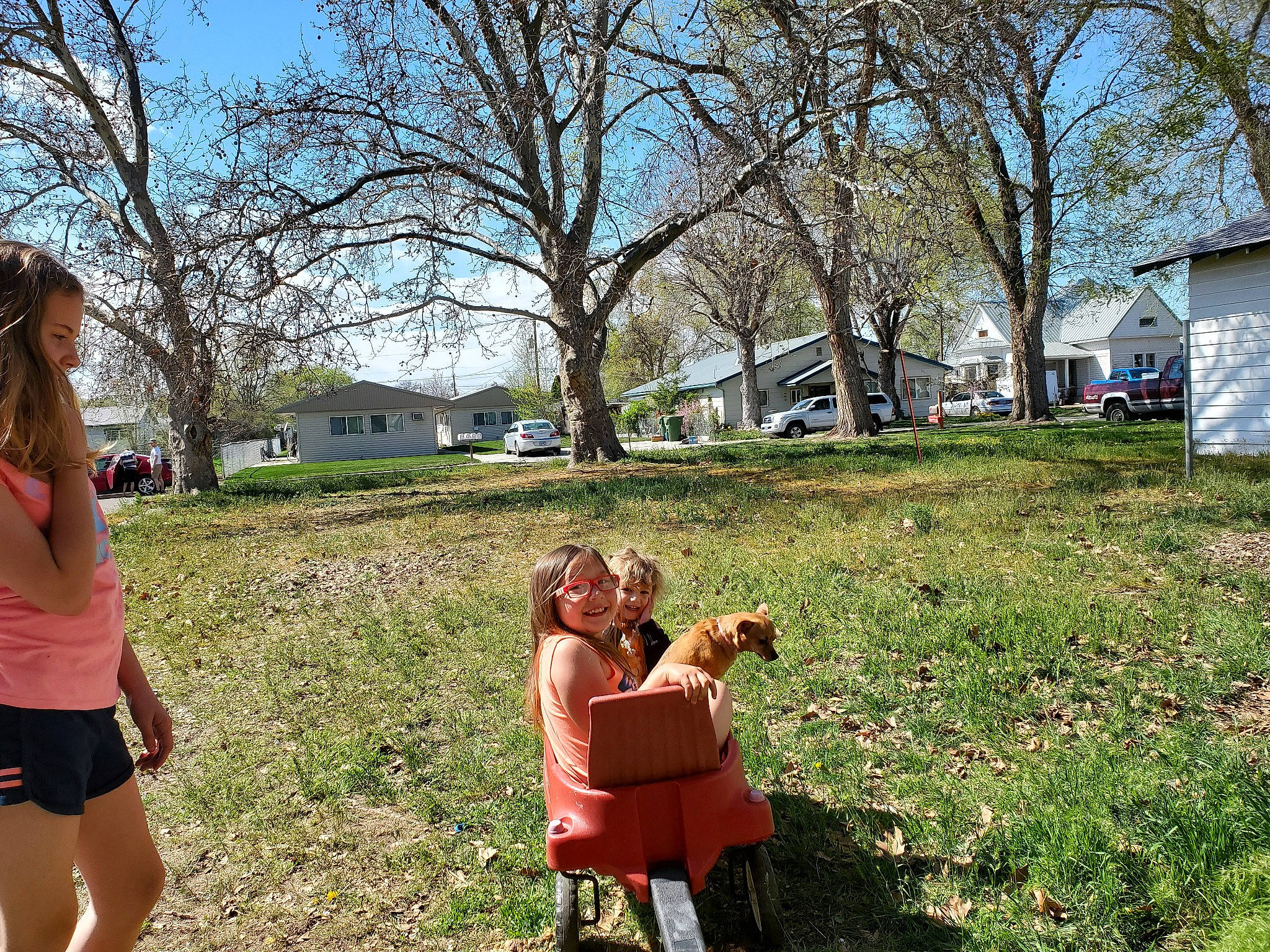 Estrella is registered to the contest to win money with this photo: child, fawn, fun, grass, grass_family, happy, human, joy, lawn, person, plant, play, sitting, spring, style, summer, toddler, tree, vacation