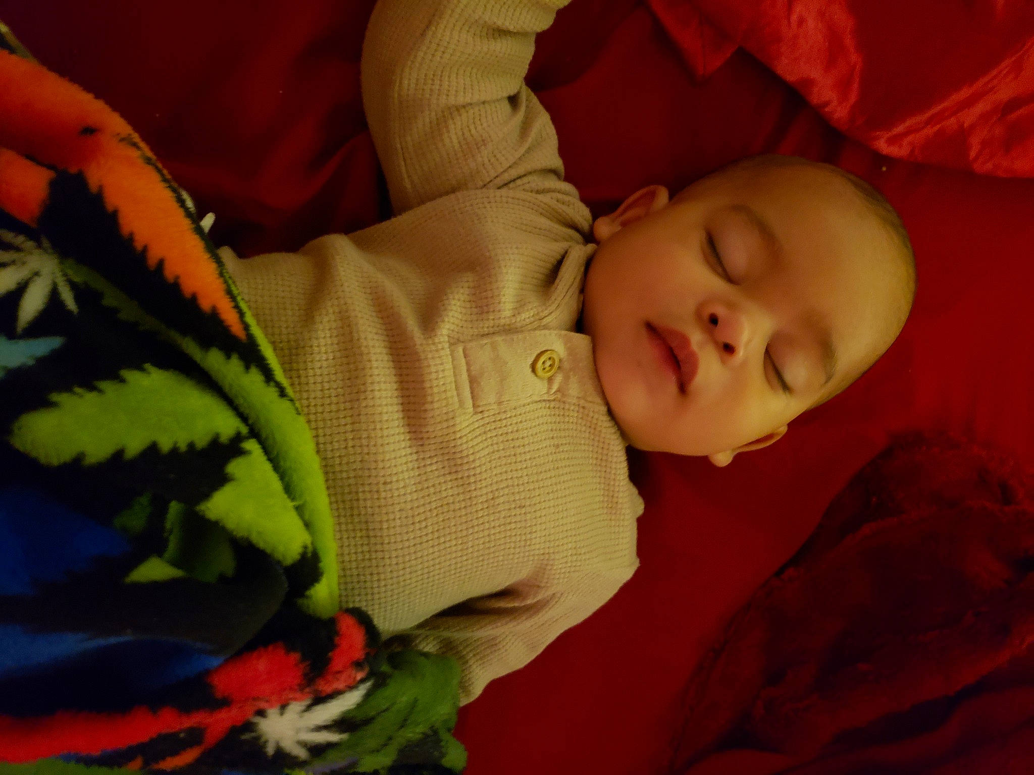 Jaz joined the competition — help win amazing prizes! baby, baby_toddler_clothing, black, cheek, child, close_up, comfort, grass, happy, human_body, leaf, mouth, nose, orange, person, plant, product, skin, textile, toddler