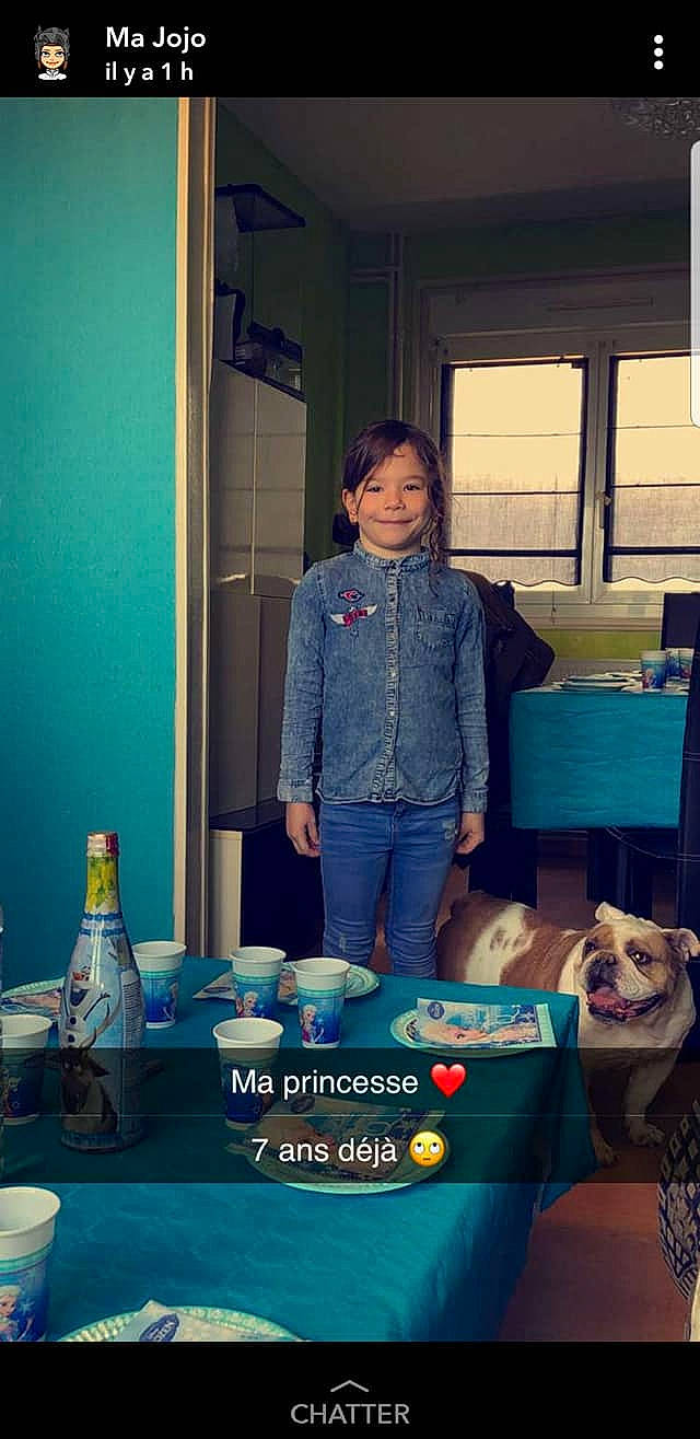 Kenza a rejoint le concours — aidez-le/la à gagner de superbes lots ! canidae, companion_dog, dog, joy, person, shih_tzu, table, turquoise