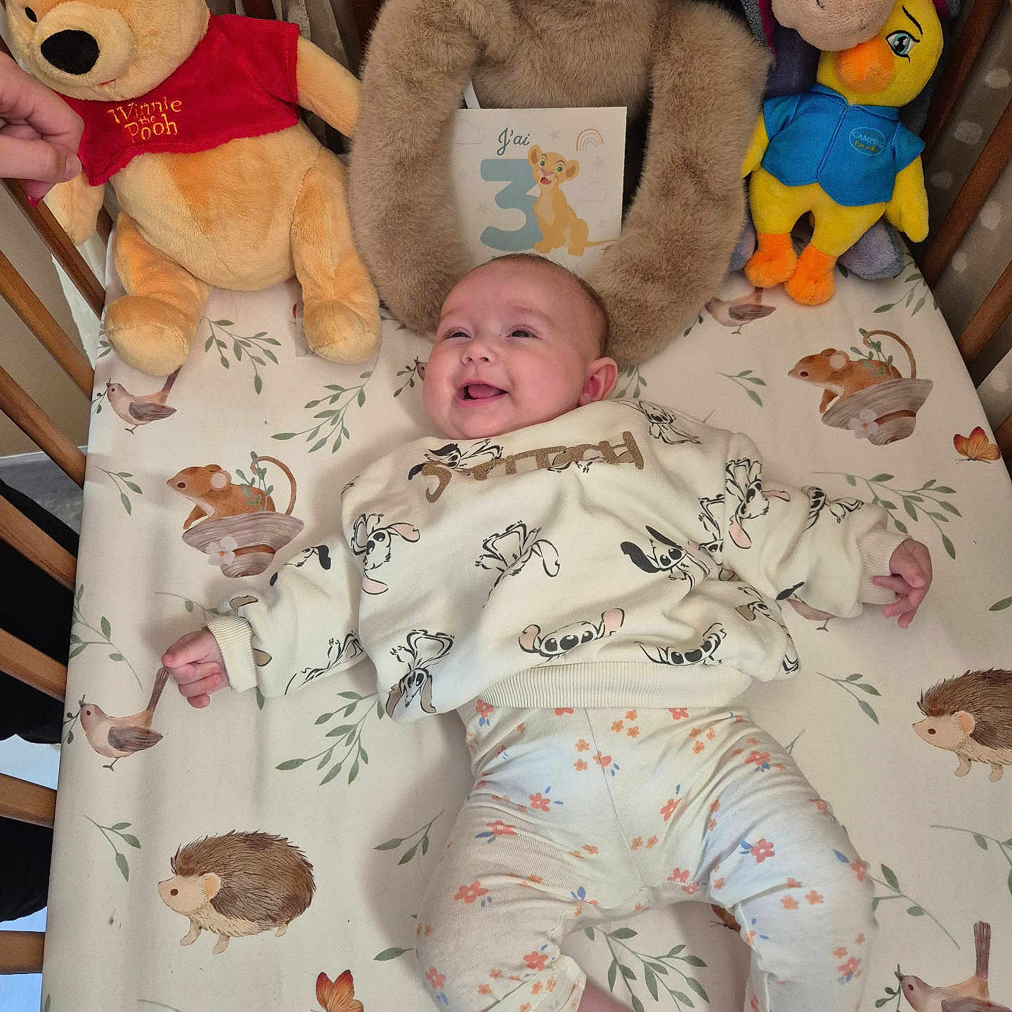 Aëlla a rejoint le concours — aidez-le/la à gagner de superbes lots ! animal_pattern, baby, bear, bird, card, cartoon_clothing, crib, duck, floral_pants, happy, hedgehog, infant, lion_cub, mouse, number_3, plush_toys, smiling, toddler, winnie_the_pooh, woodland_animals