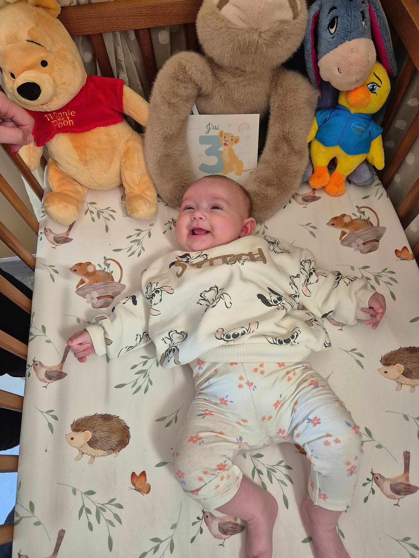 Aëlla a rejoint le concours — aidez-le/la à gagner de superbes lots ! baby, crib, plush_toys, winnie_the_pooh, bear, duck, smiling, infant, card, number_3, lion_cub, animal_pattern, floral_pants, cartoon_clothing, woodland_animals, hedgehog, bird, mouse, toddler, happy