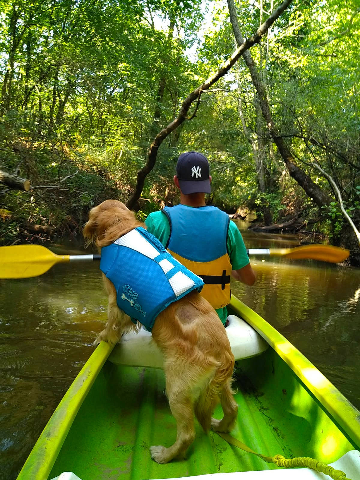 Loulou participe au concours pour gagner de l'argent avec cette photo : boat, boating, boats_and_boating_equipment_and_supplies, canoe, canoeing, jungle, kayak, kayaking, leisure, oar, outdoor_recreation, paddle, rainforest, recreation, river, sports_equipment, vehicle, watercourse, watercraft, waterway