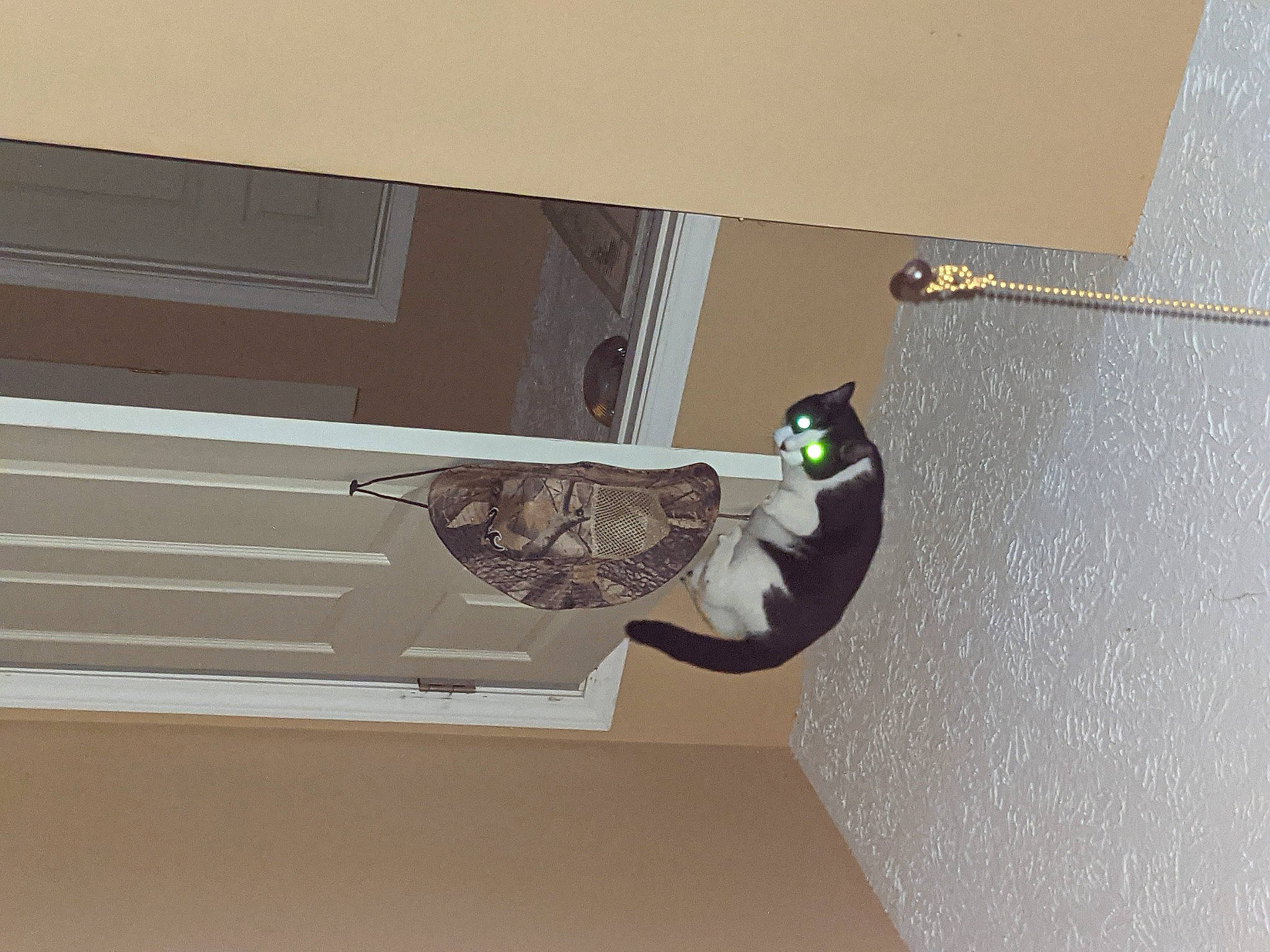 Lil Man joined the competition — help win amazing prizes! automotive_exterior, ceiling, composite_material, fixture, flooring, handrail, hardwood, molding, plaster, plywood, room, shadow, window, wood