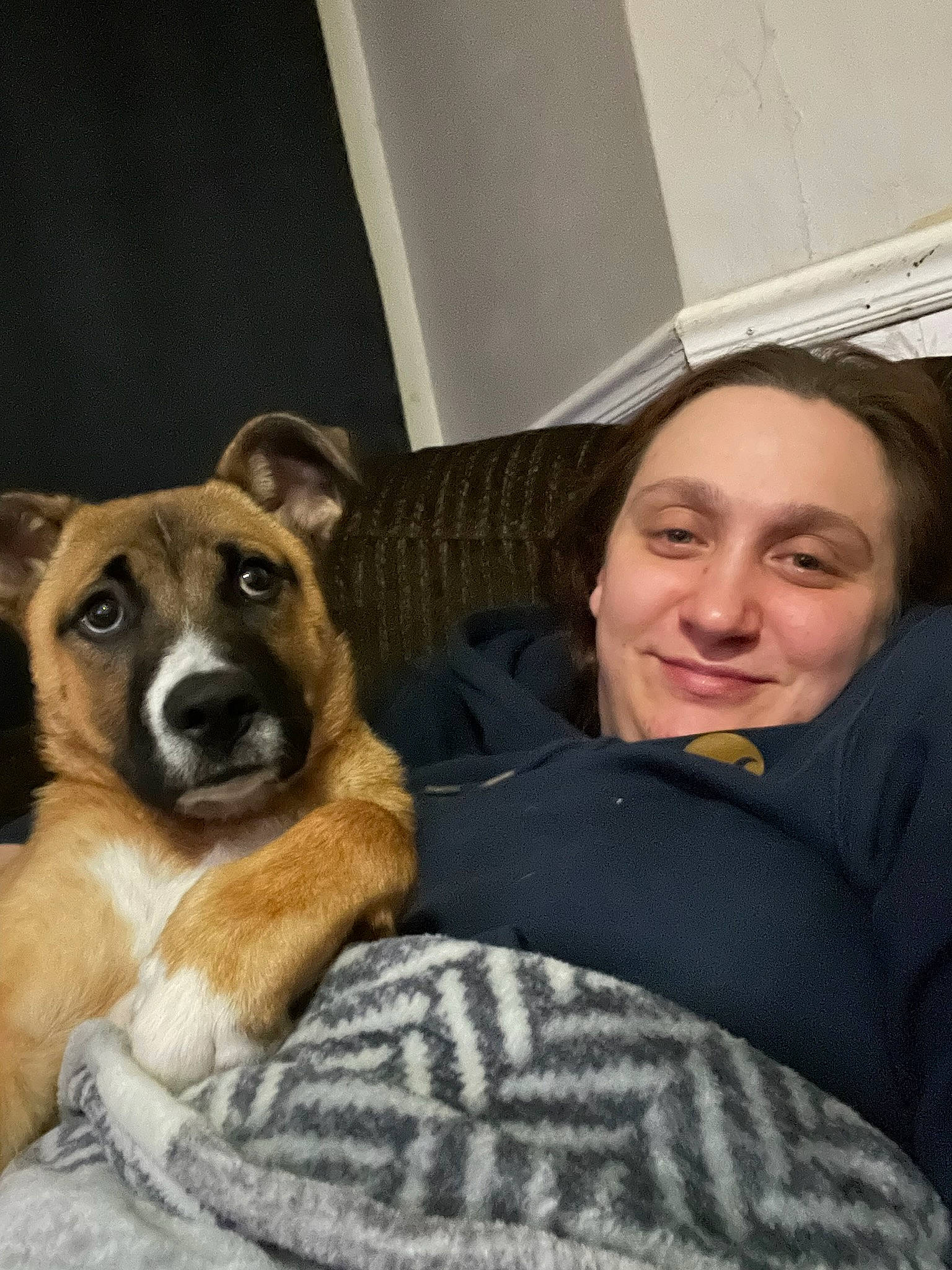 Nitro is registered to the contest to win money with this photo: canidae, carnivore, comfort, companion_dog, dog, dog_breed, ear, event, eye, fawn, fun, fur, happy, head, iris, sitting, smile, snout, sporting_group, whiskers