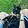 Millie