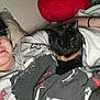Millie is registered to the contest to win money with this photo: person, cat, black_cat, blanket, glasses, plush_toy, red, bedroom, indoor, resting, sleeping_cat, tshirt, wall, comfort, cozy, couch, casual, relaxing, home, soft_lighting