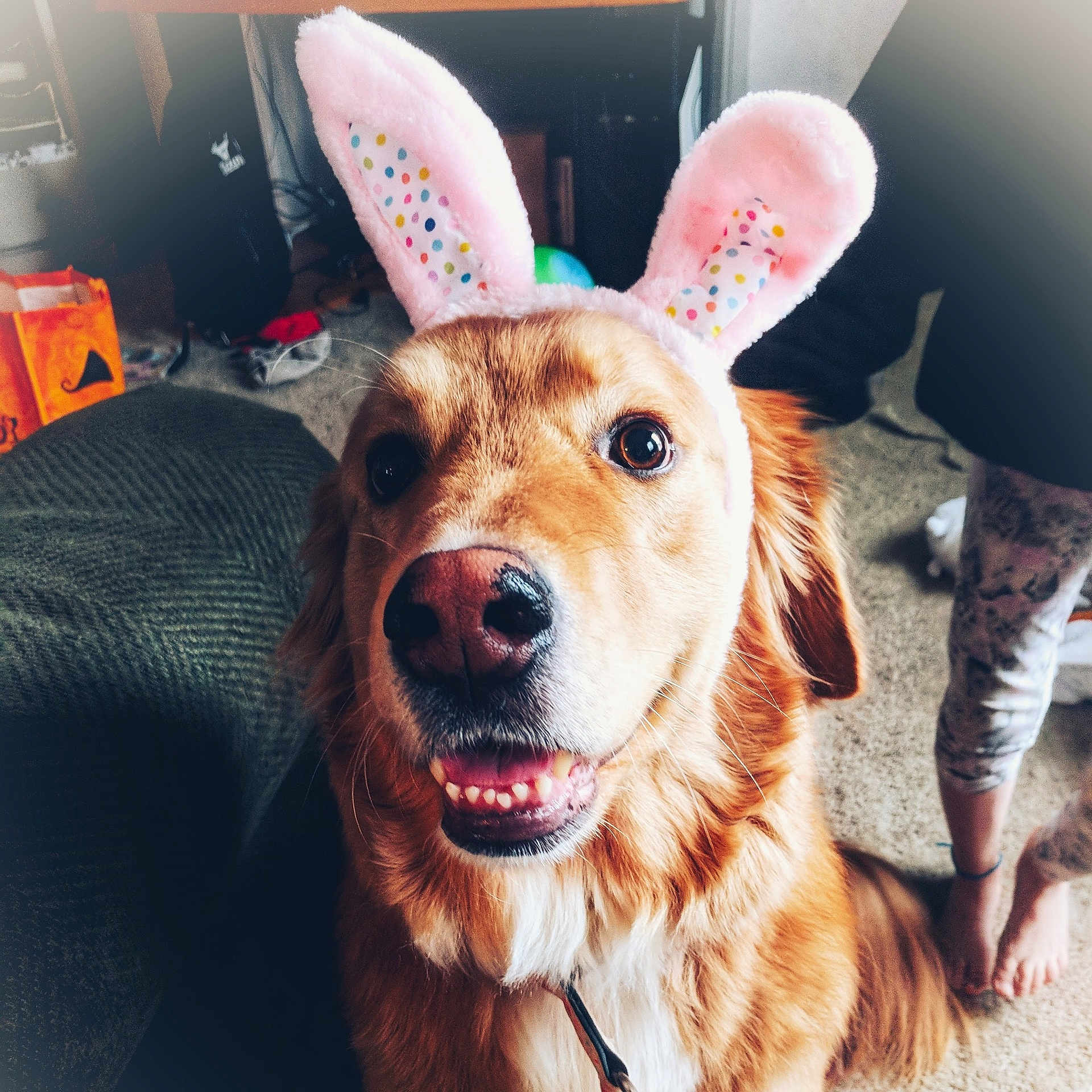 Ellie