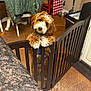 Maui is registered to the contest to win money with this photo: dog, puppy, baby_gate, kitchen, floor, furniture, pet_bowl, coat, chair, curly_hair, brown_dog, white_fur, indoor, wooden_gate, curious, pet, home, animal, domestic, cute