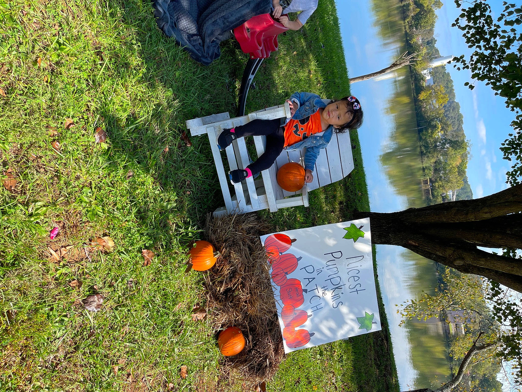 Geraldine joined the competition — help win amazing prizes! art, biome, carmine, forest, grass, groundcover, landscape, leaf, leisure, natural_environment, natural_landscape, people_in_nature, person, plant, pole, sky, soil, tree, trunk, vegetation