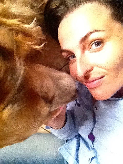 Guizmo a rejoint le concours — aidez-le/la à gagner de superbes lots ! canidae, carnivore, companion_dog, dog, dog_breed, ear, face, fawn, gesture, hair, long_hair, love, nose, person, photography, puppy, puppy_love, selfie, smile