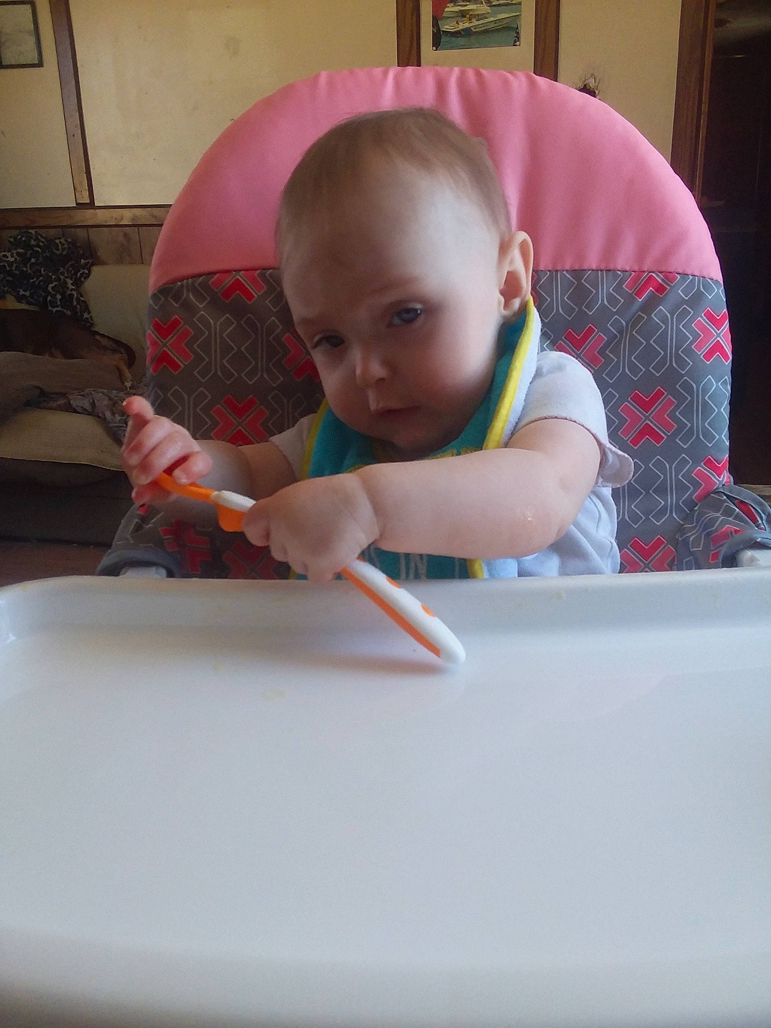 Sahara joined the competition — help win amazing prizes! baby, child, person, toddler, tummy_time