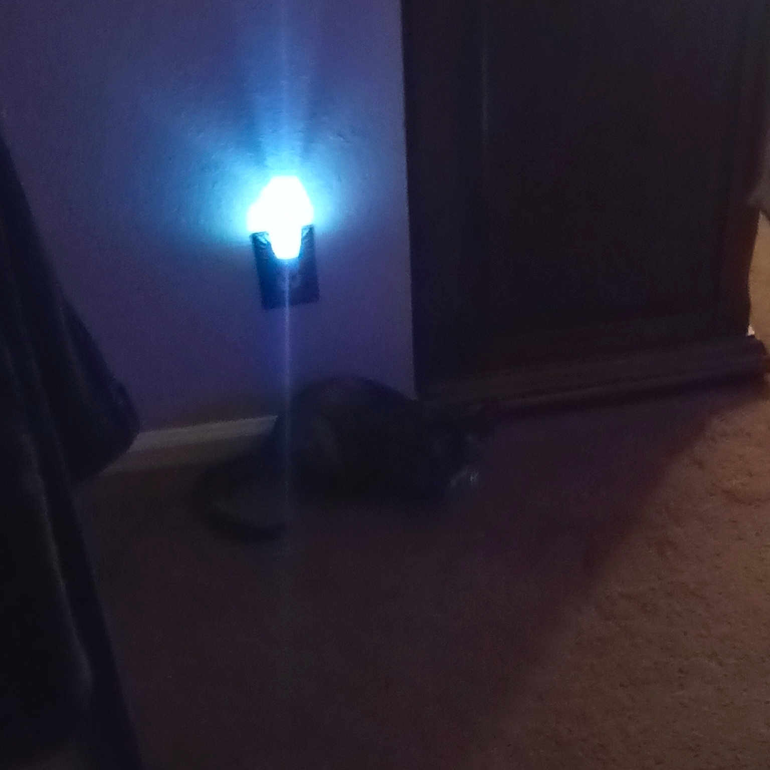 Nova