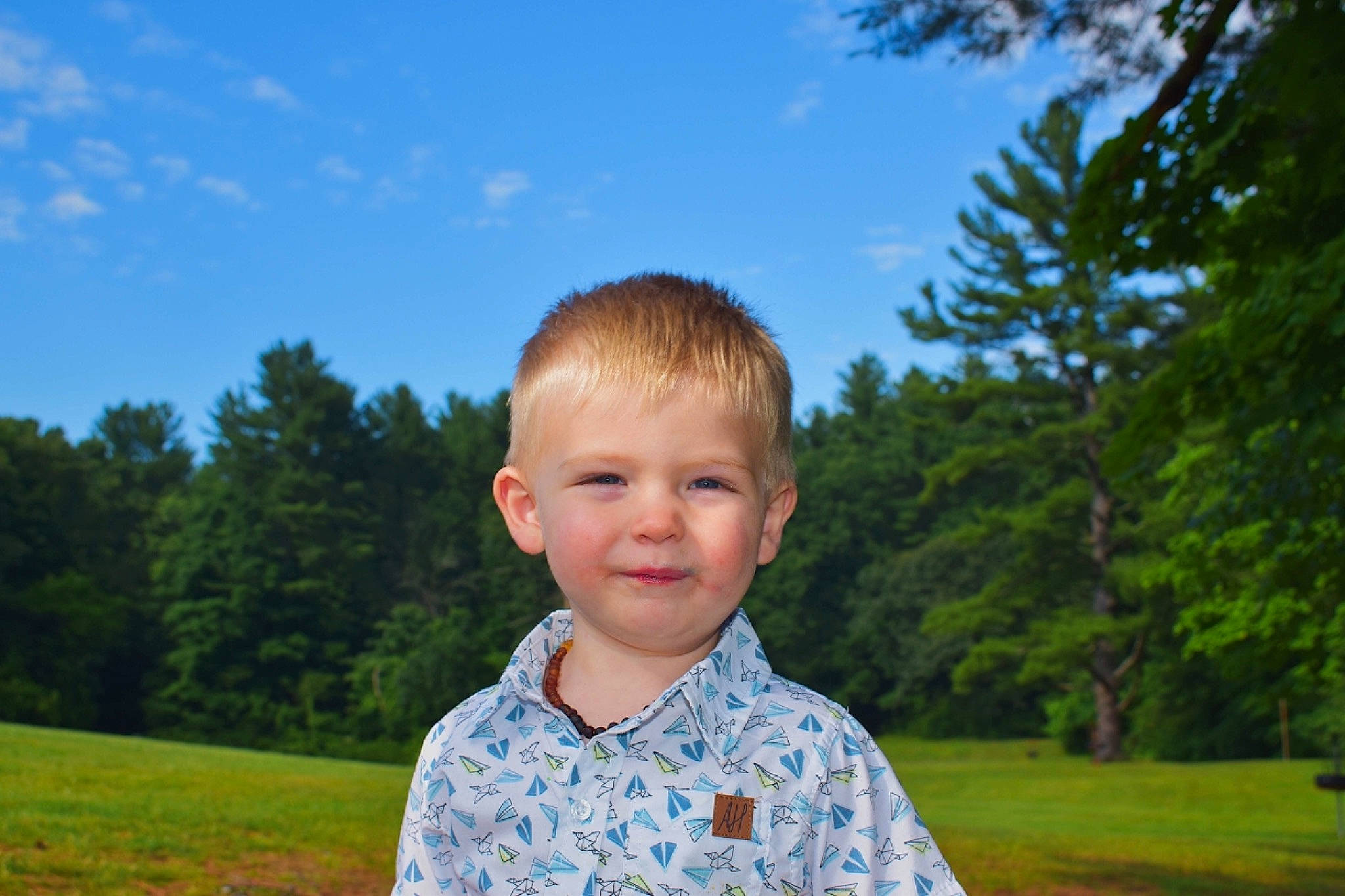 Mac is registered to the contest to win money with this photo: child, fun, grass, happy, head, lawn, leaf, leisure, male, meadow, person, photography, sky, smile, summer, toddler, tree, vacation